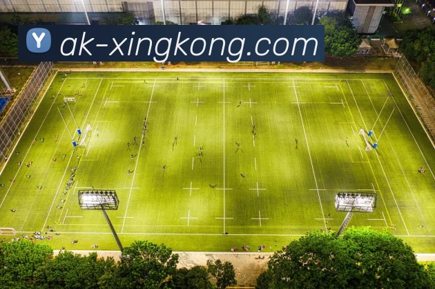 多媒体互动体验